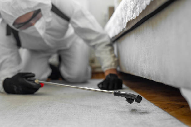 Professional Termite Control technician working in Willow Oak, FL