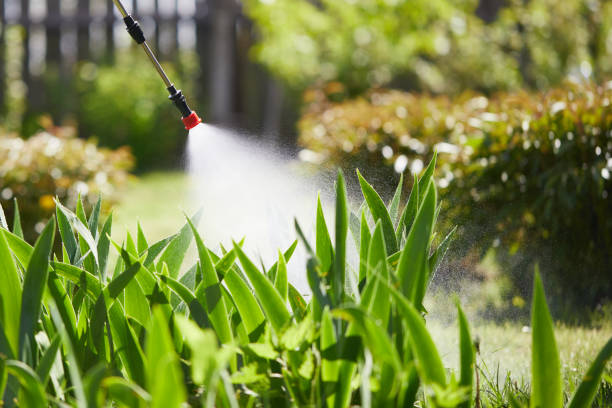 24/7 Emergency Termite Control experts in Willow Oak, FL