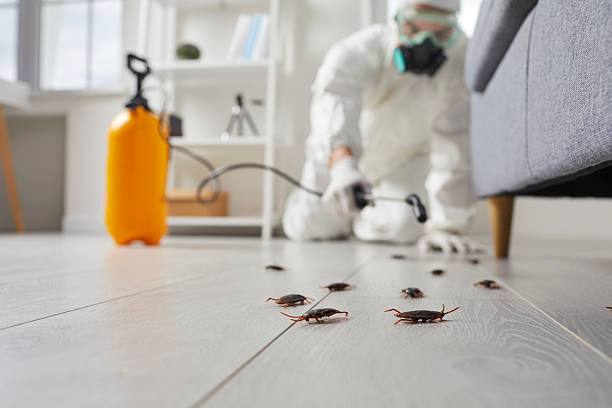 Trusted Cockroach Control service in Willow Oak, FL - Nex Pest Control