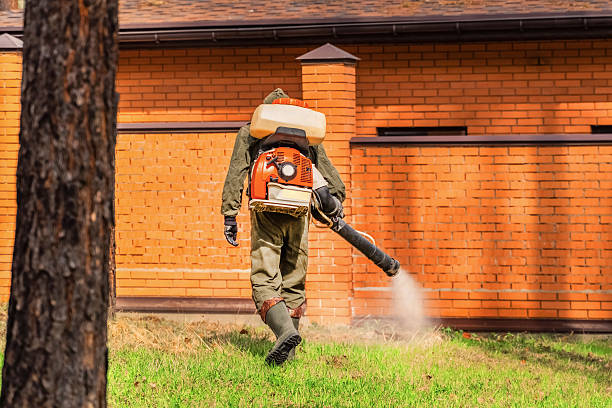 Trusted Termite Control service in Willow Oak, FL - Nex Pest Control